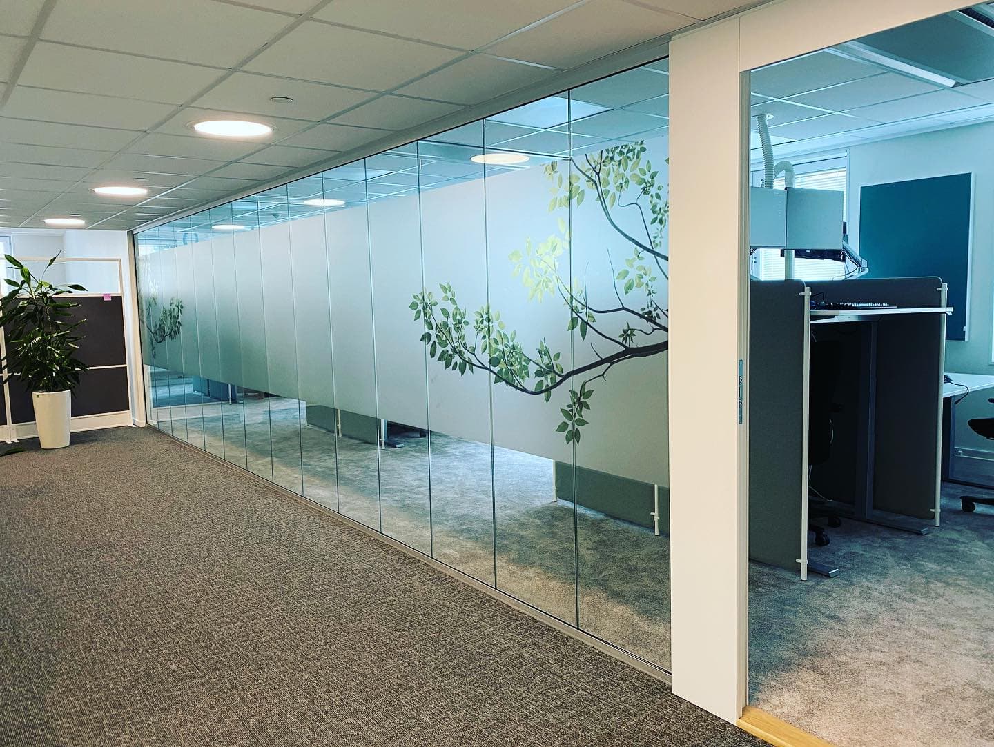 Fönsterdekor & Solfilm